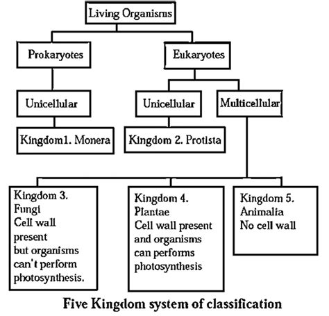 Notes Class 8 Science Chapter 1 Living World And Classification Of