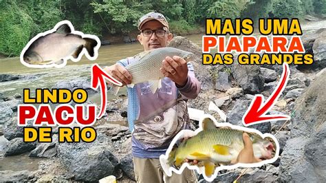 Pescaria Rio Sorocaba Muito Peixe Pacu Curimba E Piapara Youtube