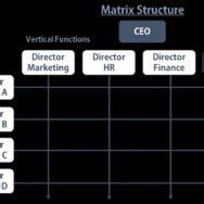 Matrix structure diagram 30 | Download Scientific Diagram