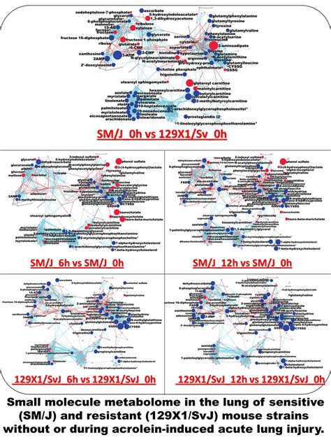 Metamapp Visualizing Metabolomics Networks Small Molecule Metabolome In The Lung Under