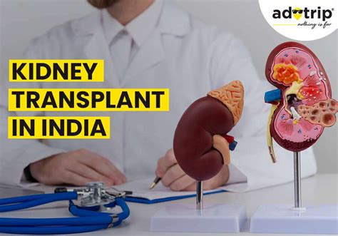 Overview Of Kidney Transplant Cost In India Adotrip