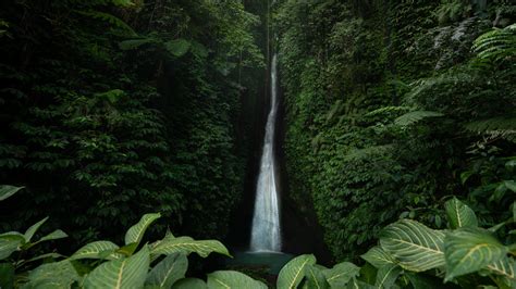 Best Lombok Waterfalls The Complete Guide