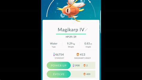 Perfect Iv Magikarp Evolution Youtube