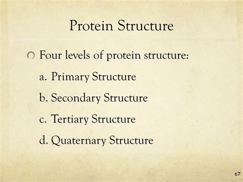 Organic Chemistry And Macromolecules Headings Vocab Important Info