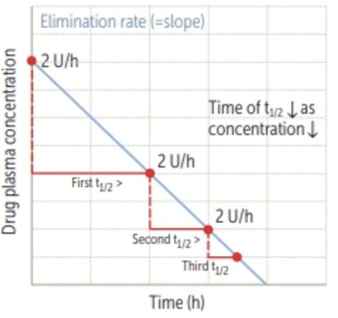 Pharmacokinetics And Pharmacodynamics Flashcards Quizlet