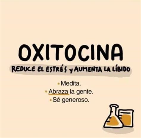 PSICOLOGOS PERU CÓMO ESTIMULAR LOS QUÍMICOS DE LA FELICIDAD EN TU CEREBRO