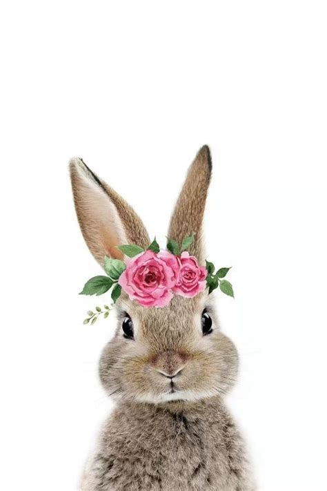 Bunny Wearing Flower Crown Canvas Artwork By Amy Peterson Icanvas In