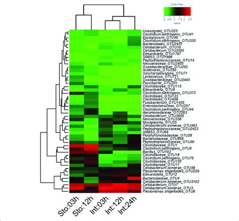 Heatmap Of Showing The Relative Abundance Reveals Obvious Microbial Download Scientific