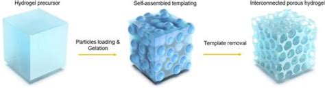 Highly Elastic Interconnected Porous Hydrogels Through Self Assembled