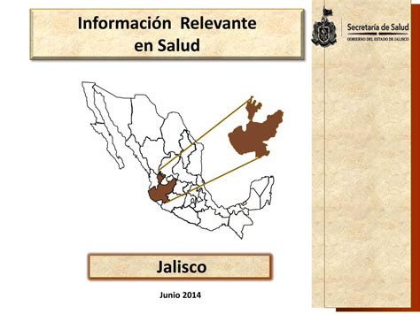 PDF Información Relevante en Salud Secretaría de Salud