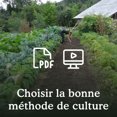 Découvrez la culture en lasagne dans votre potager en permaculture