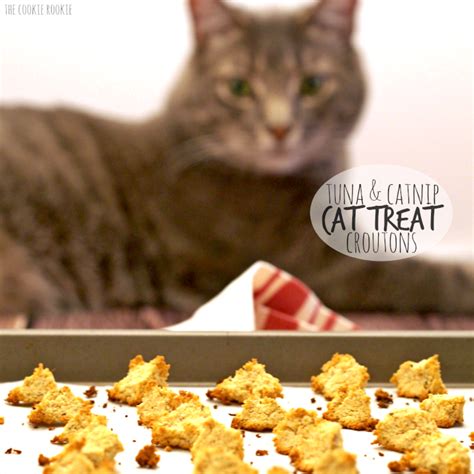 Tabby Cat Extension Goodies Hack - PETS VITAMIN