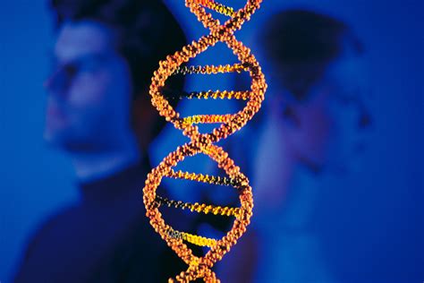 Arquivos exame de DNA Clínica Popular Mais Saúde