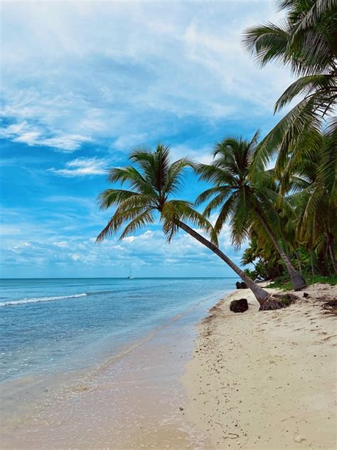 Strand Ozean Insel Kostenloses Foto Auf Pixabay Pixabay