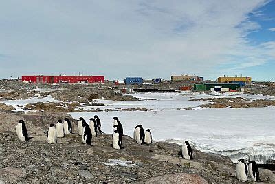casey climate seasons monthly averages climates  travel
