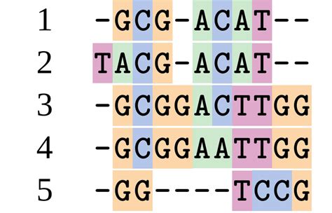 Slides: Phylogenetics - Back to Basics - Multiple Sequence Alignment / Phylogenetics - Back to ...