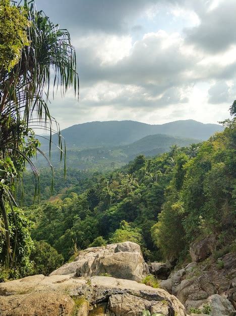 Vue Sur Le Paysage De La Vallée De La Jungle Depuis La Falaise Photo