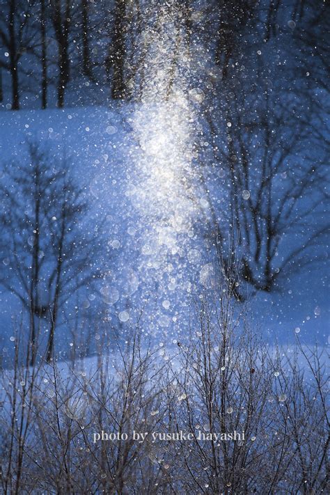 連日ダイヤモンドダスト 美瑛・富良野 写真撮影ツアー 北海道 美瑛の写真家 林 祐介のphoto Office Siknu