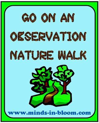 8 Observation ideas | observation, walking in nature, homeschool science