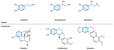 Methamphetamine Lewis Structure