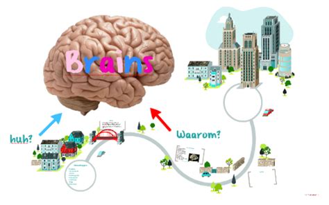 Brains By Lieke Wijnhoven On Prezi