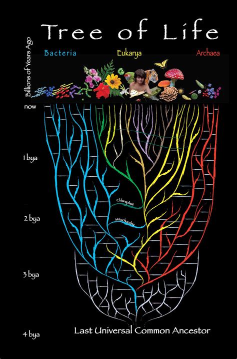 Formation Of Life Hot Sex Picture