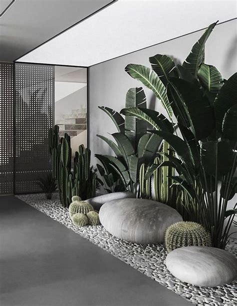 Modern Plants Decor Plant Aesthetic Plant Wallpaper Interior