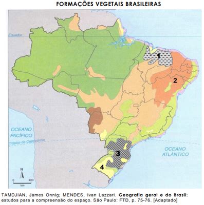 Quest O As Forma Es Vegetais Se Desenvolvem De Acordo O Tipo De