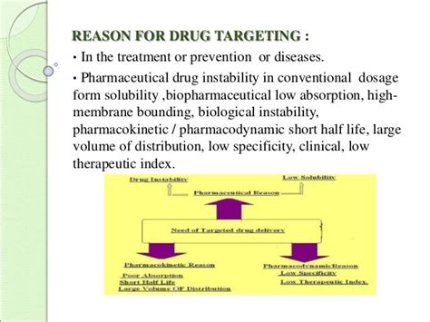 Targeted Drug Delivery System