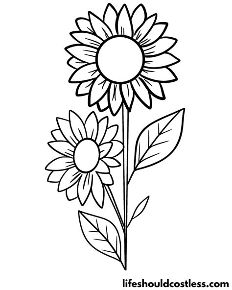 Sunflower Coloring Pages Free Printable Pdf Templates Life Should