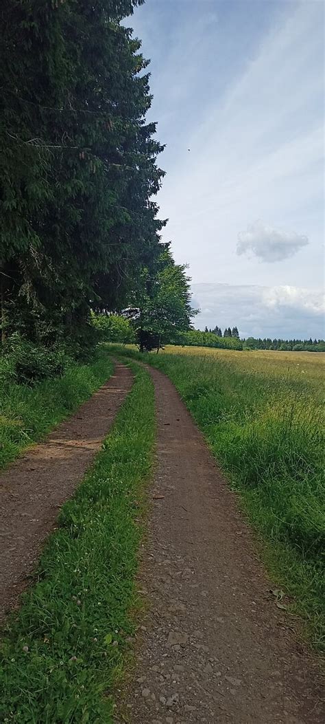 Radreisen Auf Der Boxteler Bahn Route