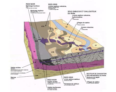 Ried Nord Bloc Diagramme Roches Et Sols Atlas Des Paysages D Alsace