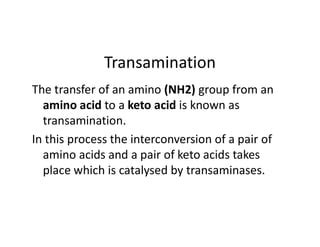 Amino Acid Metabolism Transamination Deamination Ppt