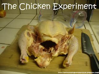 Serious Savings of the Possum: The Great Chicken Experiment Introduction