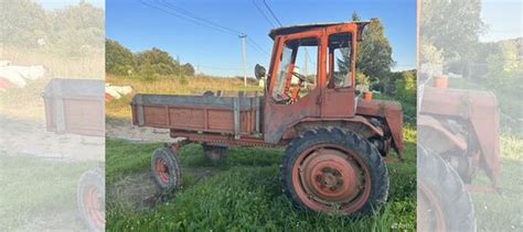 Трактор ХТЗ Т-16, 1986 купить в Верее | Транспорт | Авито