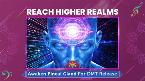 Reach Higher Realms Awaken Pineal Gland For Dmt Release Third Eye