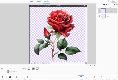 Layer Thumbnails Disappearing Pse 2024 Adobe Community 14698211