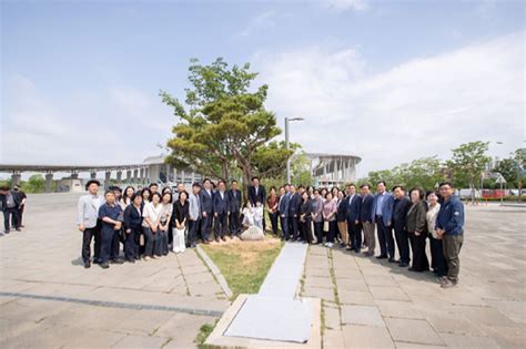 60만 돌파 인천 서구 100년생 소나무 식재