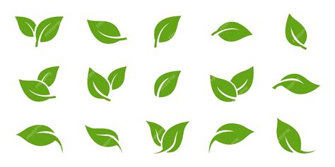 Premium Vector Green Leaf Icons Set Leaves Icon On Isolated