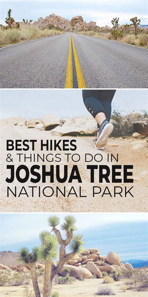 Best Hikes Things To Do In Joshua Tree National Park Ohmeohmy Blog