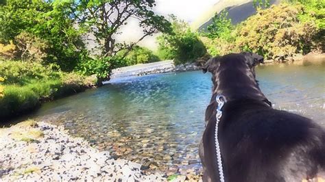 Wasdale National Trust Campsite – TentLife