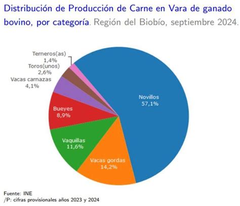 Producción de carne en vara de ganado bovino de la Región del Biobío