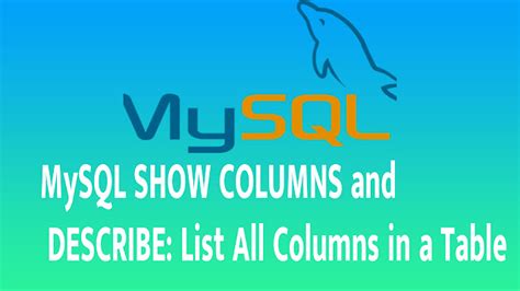 Mysql Show Columns And Describe List All Columns In A Table