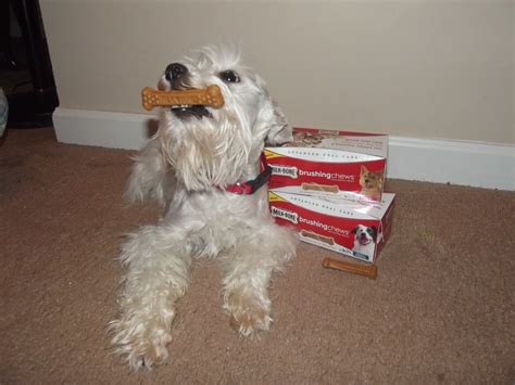 #MilkBone Brushing Chews for Dogs Review - Come Wag Along