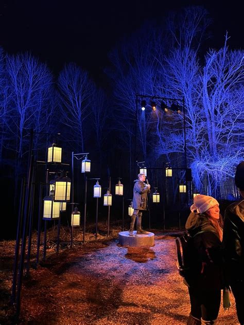 HARRY POTTER A FORBIDDEN FOREST EXPERIENCE Updated January 2025