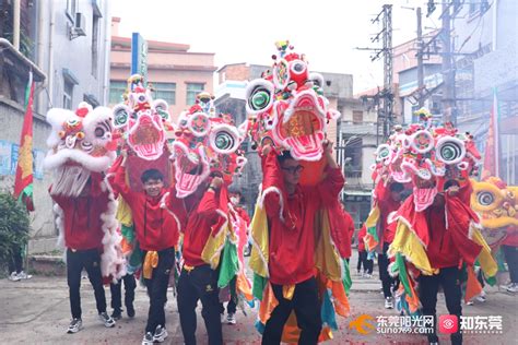 2023文化进万家｜麒麟醒狮闹新春！东莞各镇街弘扬传统民俗 传递新春祝福东莞阳光网