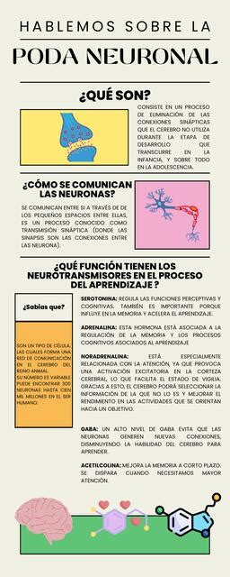 Resúmenes de Poda Neuronal Descarga apuntes de Poda Neuronal