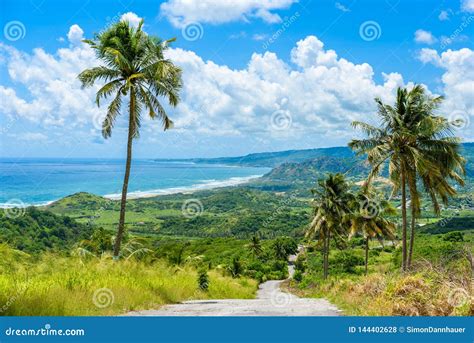 View From Cherry Tree Hill To Tropical Coast Of Caribbean Island