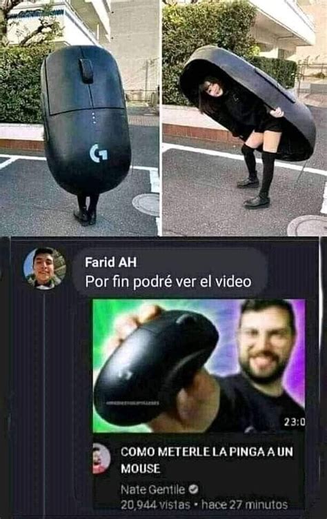 Pin de what the hell en Memes en 2022 Imágenes humorísticas Frases