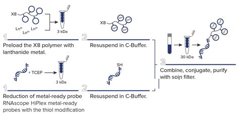 Co Detection Of Rna And Protein Standard Biotools